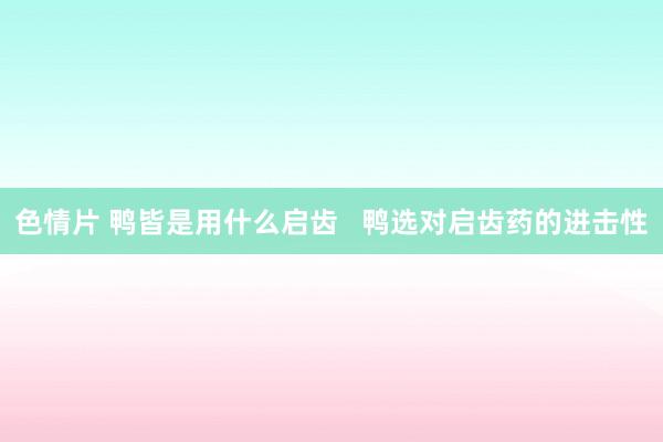 色情片 鸭皆是用什么启齿   鸭选对启齿药的进击性
