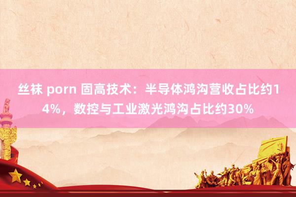 丝袜 porn 固高技术：半导体鸿沟营收占比约14%，数控与工业激光鸿沟占比约30%