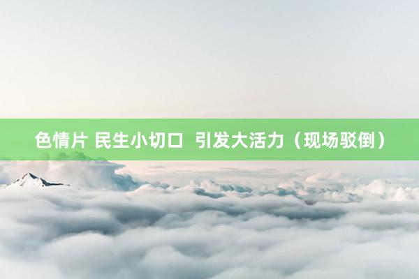 色情片 民生小切口  引发大活力（现场驳倒）