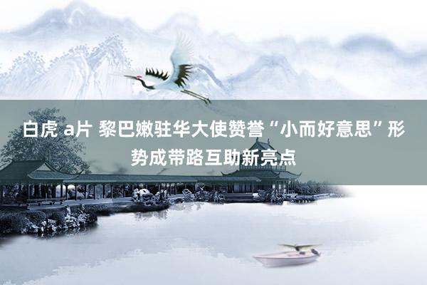 白虎 a片 黎巴嫩驻华大使赞誉“小而好意思”形势成带路互助新亮点