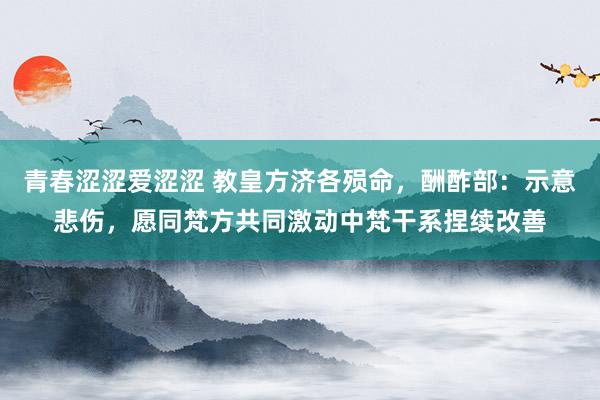 青春涩涩爱涩涩 教皇方济各殒命，酬酢部：示意悲伤，愿同梵方共同激动中梵干系捏续改善