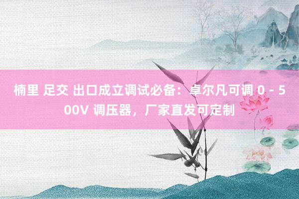 楠里 足交 出口成立调试必备：卓尔凡可调 0 - 500V 调压器，厂家直发可定制