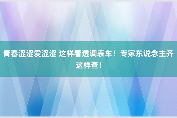 青春涩涩爱涩涩 这样看透调表车！专家东说念主齐这样查！