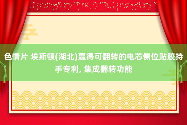 色情片 埃斯顿(湖北)赢得可翻转的电芯侧位贴胶持手专利， 集成翻转功能