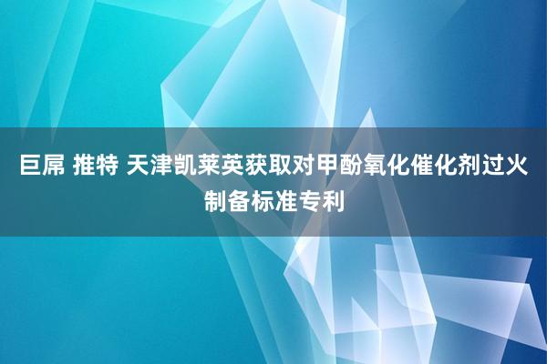 巨屌 推特 天津凯莱英获取对甲酚氧化催化剂过火制备标准专利