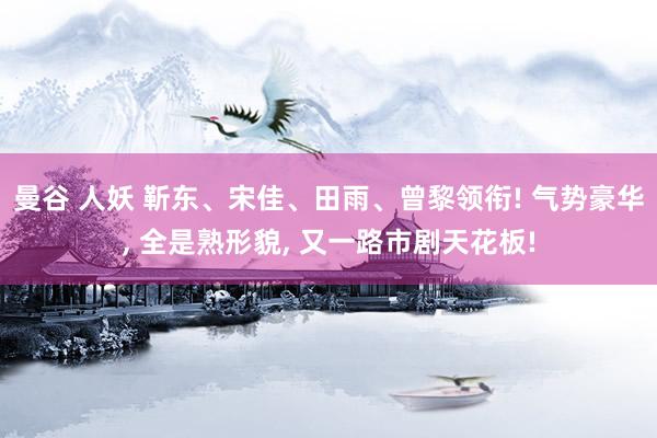 曼谷 人妖 靳东、宋佳、田雨、曾黎领衔! 气势豪华， 全是熟形貌， 又一路市剧天花板!