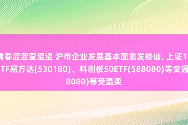 青春涩涩爱涩涩 沪市企业发展基本面愈发褂讪， 上证180ETF易方达(530180)、科创板50ETF(588080)等受温柔