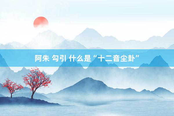 阿朱 勾引 什么是“十二音尘卦”