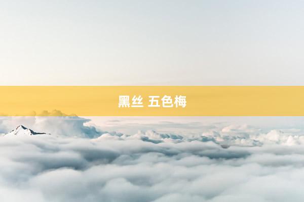 黑丝 五色梅