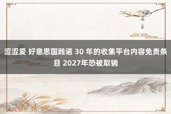 涩涩爱 好意思国践诺 30 年的收集平台内容免责条目 2027年恐被取销